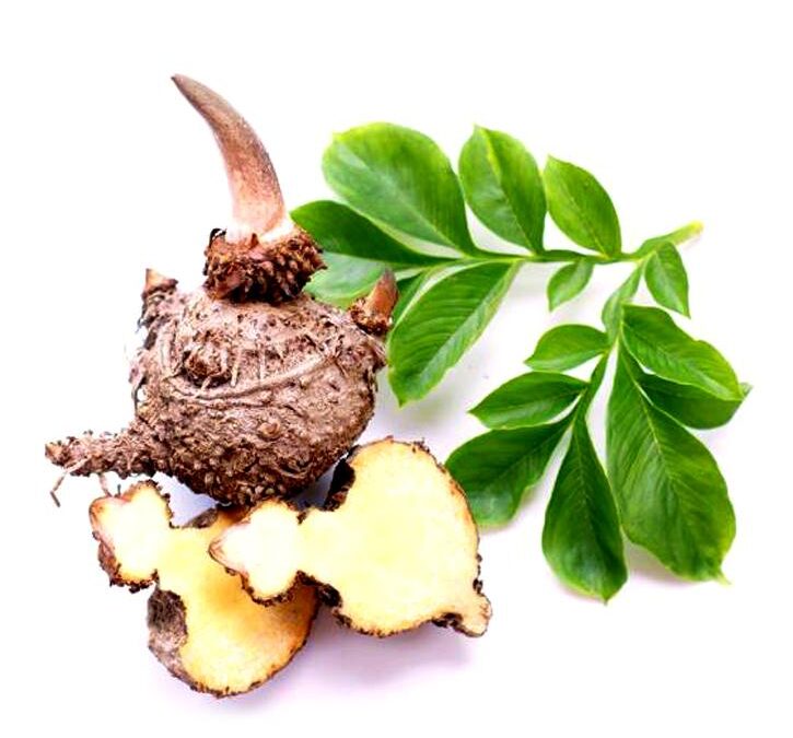 Beneficios de Consumir Konjac (Glucomanano Tubérculo)para la Salud y el Bienestar