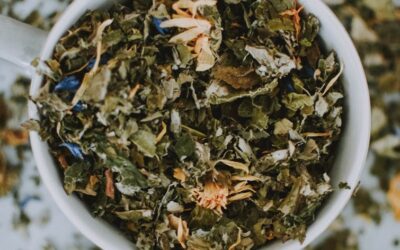 ¿Qué Le Pasa a Tu Cuerpo Cuando Consumes Té Verde Diariamente?