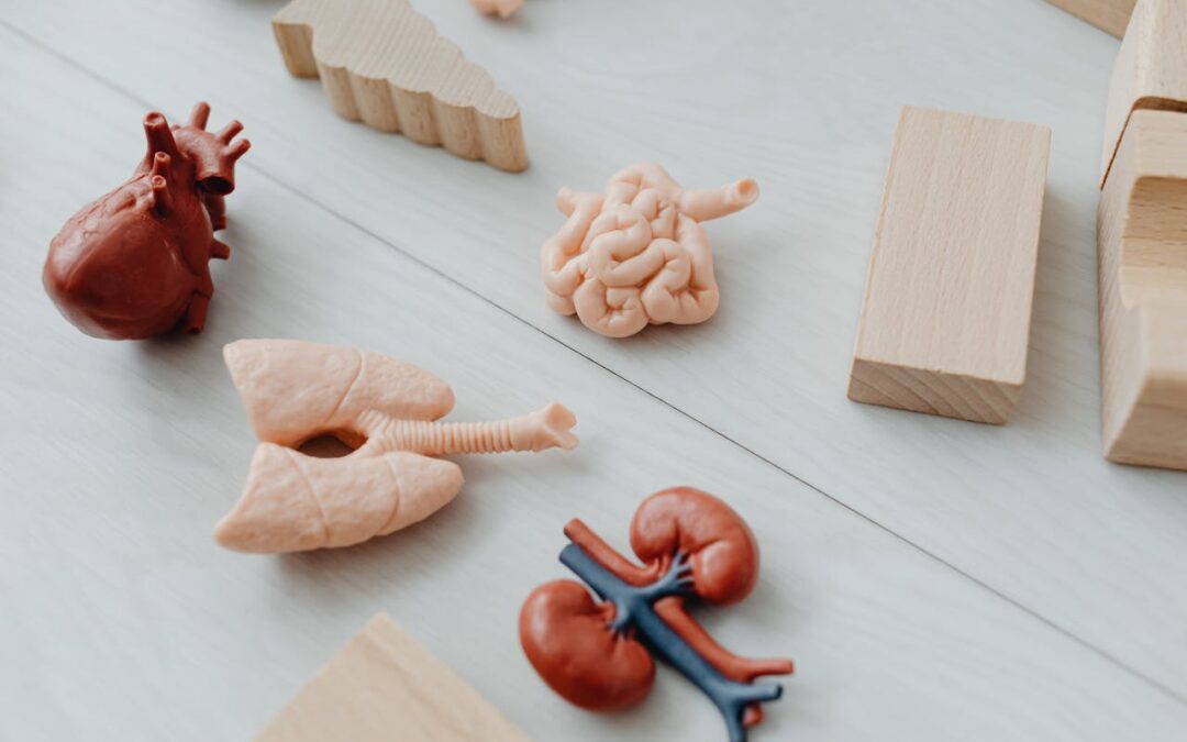 ¡Acelerando el Metabolismo! Tips para Poner tu Cuerpo en Modo Turbo
