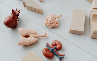 ¡Acelerando el Metabolismo! Tips para Poner tu Cuerpo en Modo Turbo